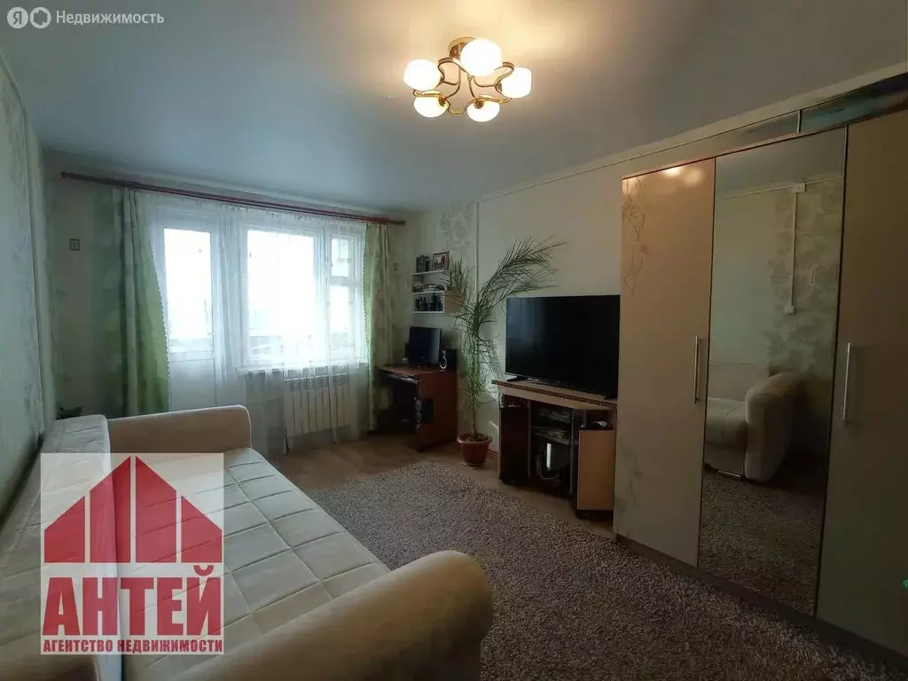 1-комнатная квартира: Павлово, улица Правика, 1к4 (32.9 м) - Фото 2
