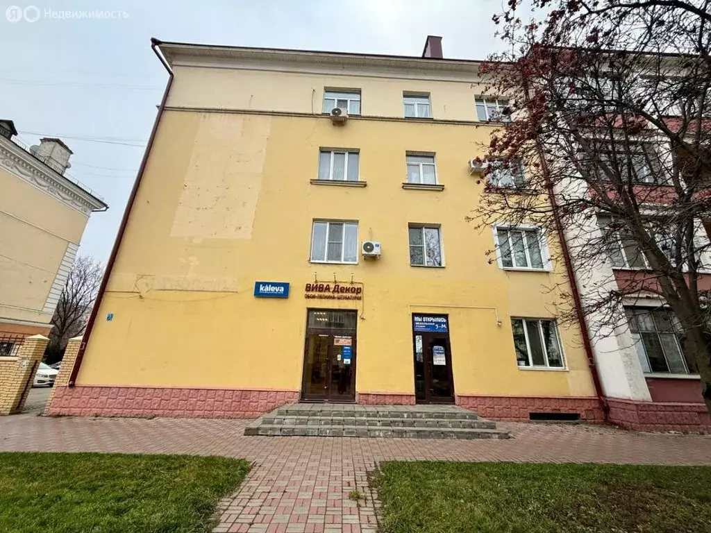 Торговая площадь (47.5 м) - Фото 2