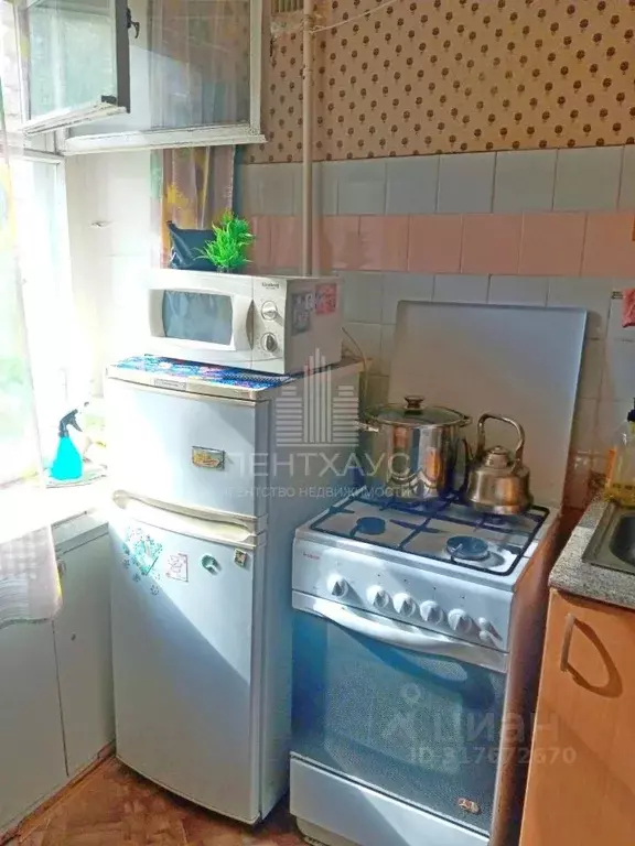 1-к кв. Владимирская область, Владимир ул. Егорова, 10а (20.6 м) - Фото 1