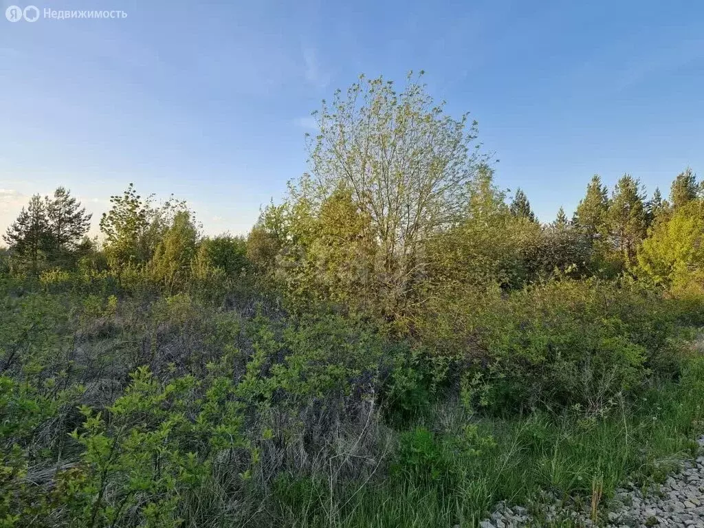 Участок в Поспеловское сельское поселение, посёлок Луговой (10 м) - Фото 2