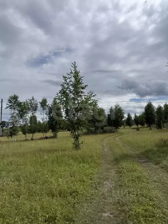 Участок в Красноярский край, Емельяновский муниципальный округ, пос. ... - Фото 2