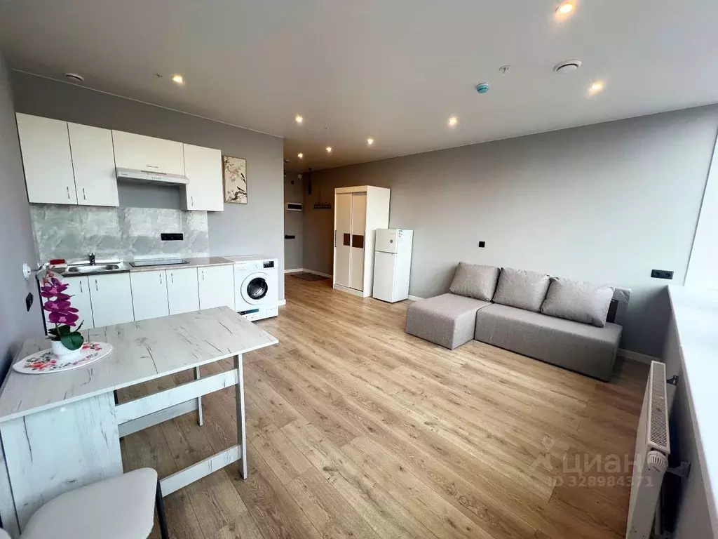 Студия Санкт-Петербург просп. Энергетиков, 2к2 (30.0 м) - Фото 1