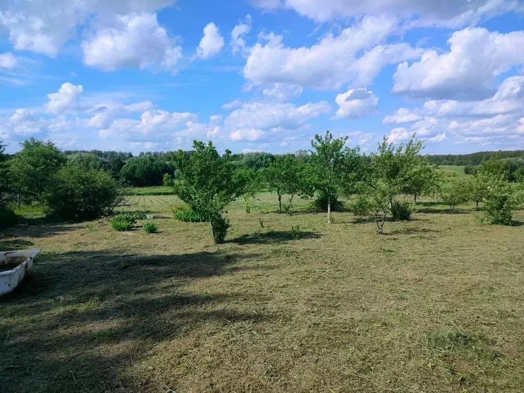 Участок в Московская область, Луховицы муниципальный округ, с. ... - Фото 0