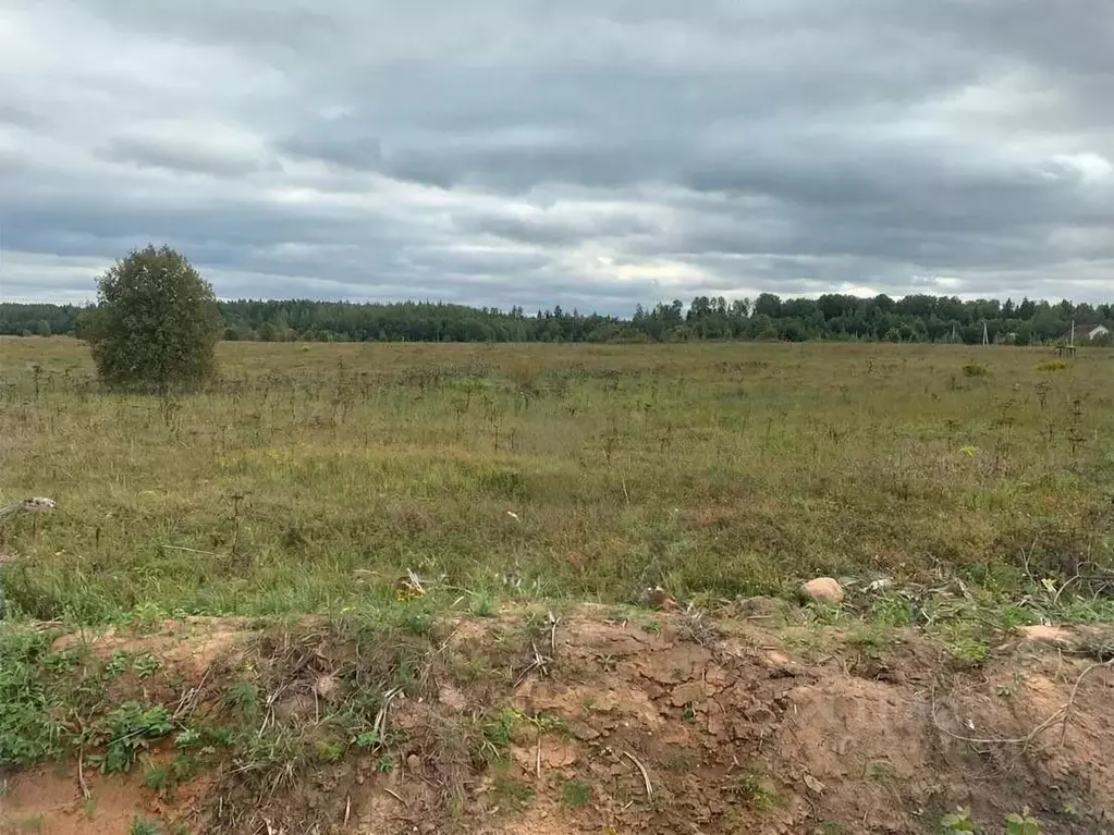 Участок в Ленинградская область, Лужский район, Мшинское с/пос, ... - Фото 2