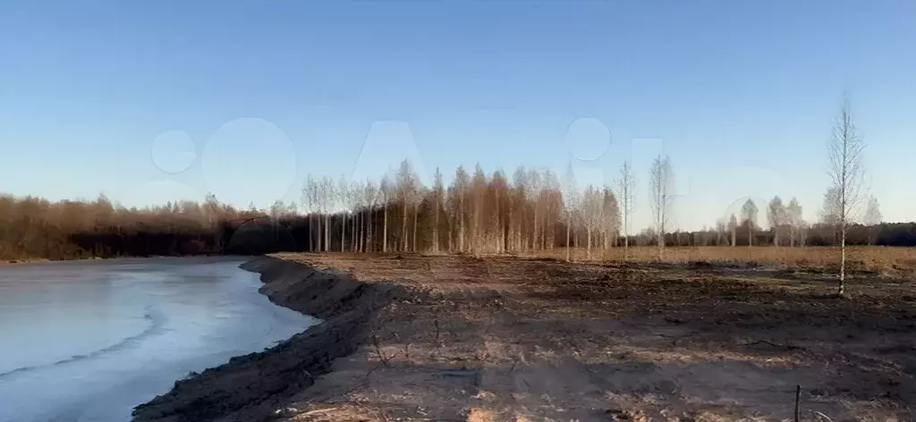 Участок в Ленинградская область, Лодейнопольский район, Доможировское ... - Фото 0