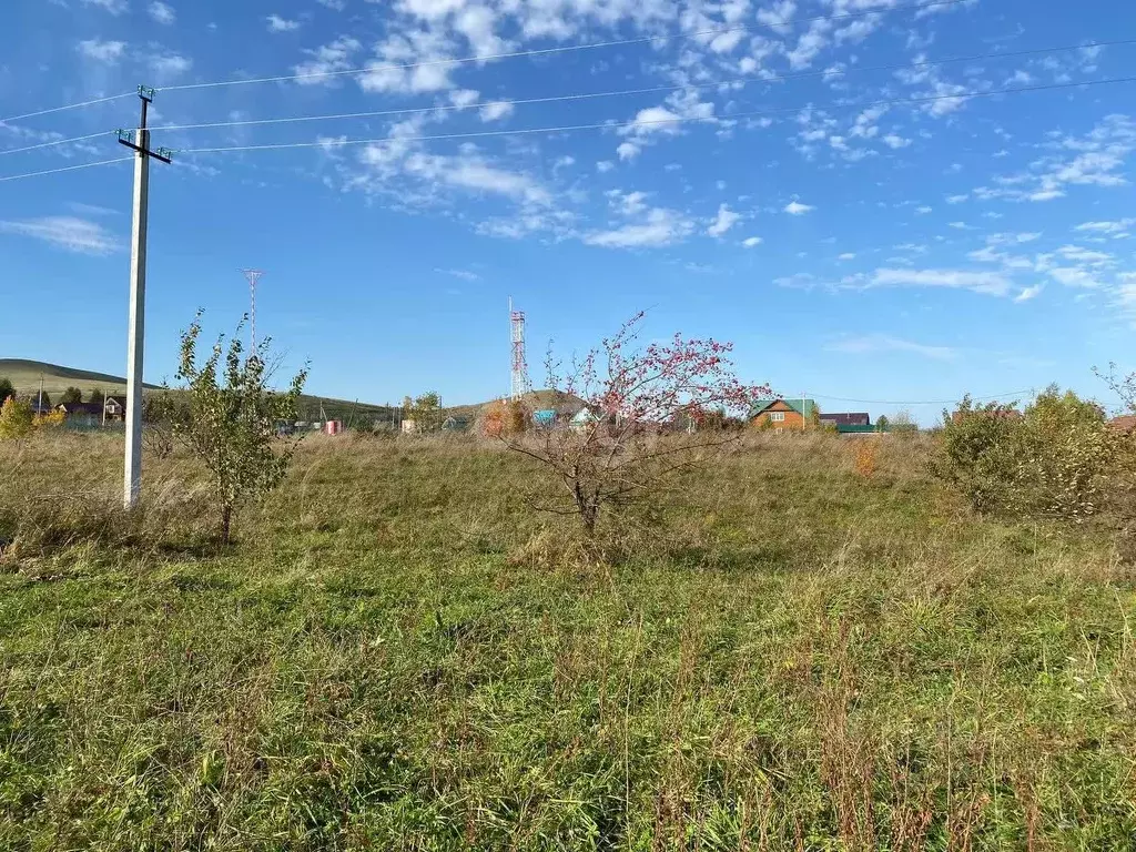 Участок в Алтайский край, Алтайский район, Айский сельсовет, ... - Фото 1