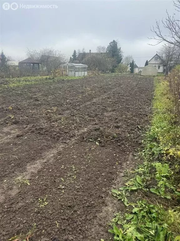 Участок в Ленинградская область, Гатчинский муниципальный округ, ... - Фото 2