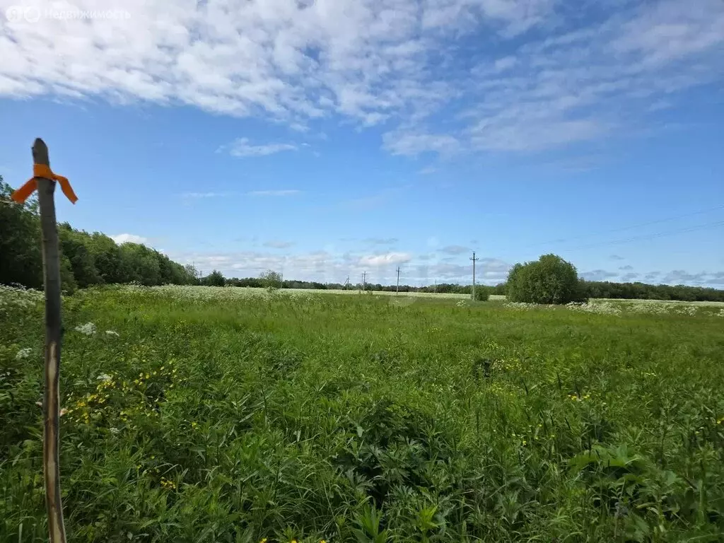 Участок в Архангельская область, Приморский муниципальный округ, ... - Фото 2