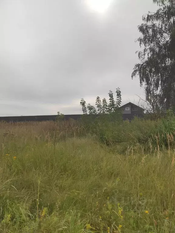 Участок в Московская область, Коломна городской округ, д. Елино  ... - Фото 2