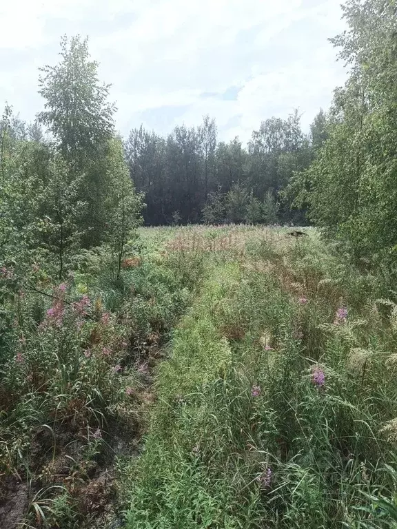 Участок в Московская область, Орехово-Зуевский городской округ, пос. ... - Фото 0