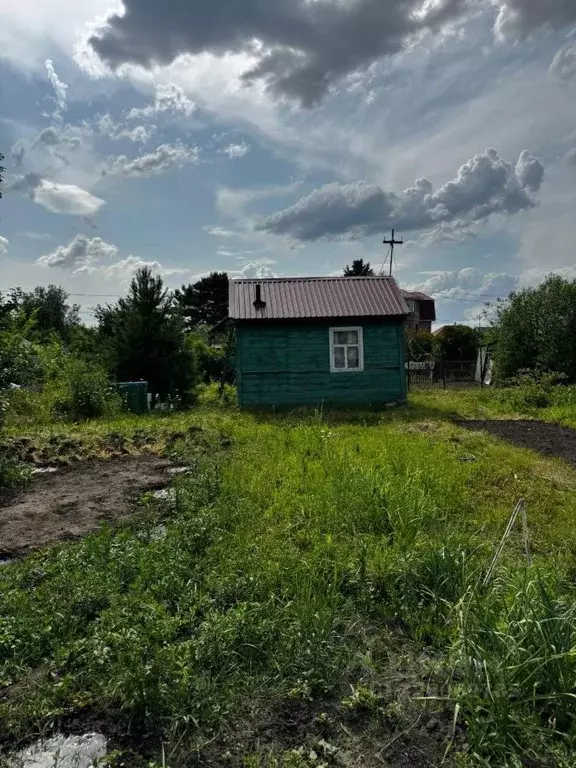 Дом в Омская область, Омск СОСН Сибирский садовод-1 тер., аллея 10-я ... - Фото 1