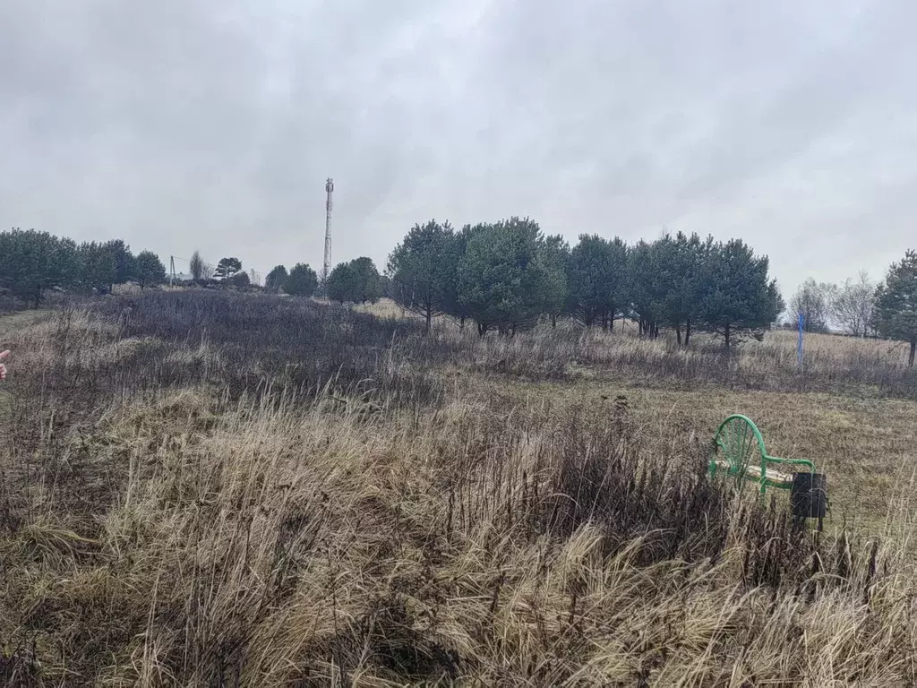 Участок в Калужская область, Тарусский муниципальный округ, Похвиснево ... - Фото 2