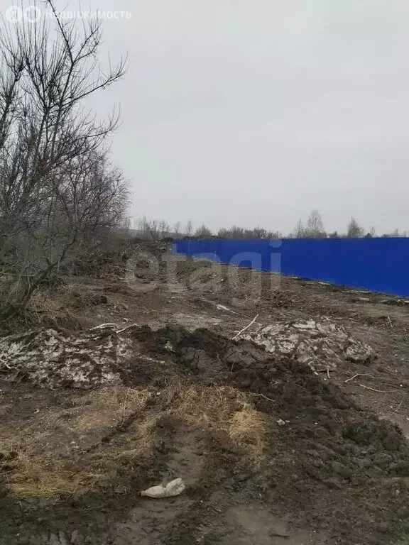 Участок в Ульяновск, Сельдинское шоссе (40 м) - Фото 1