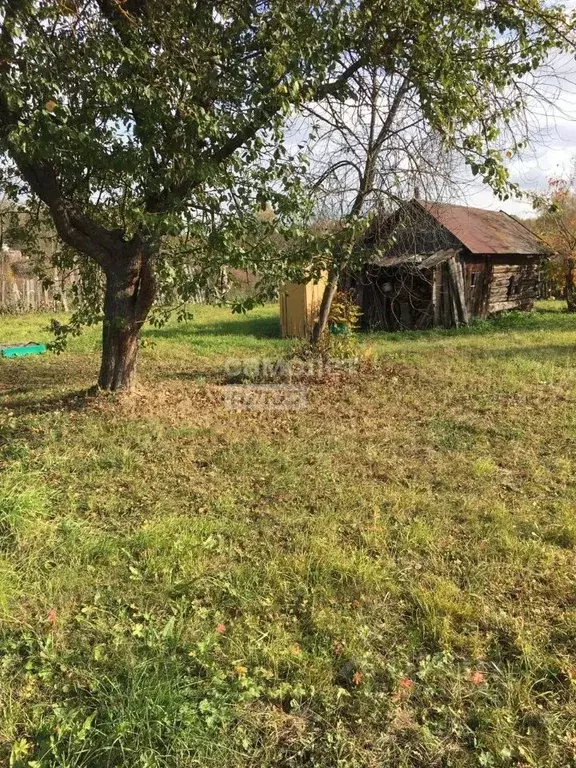 Участок в Владимирская область, Суздальский район, Новоалександровское ... - Фото 1