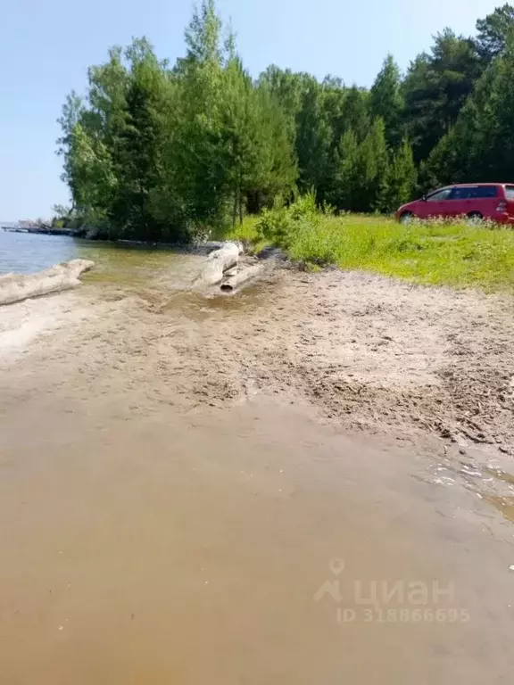 Участок в Новосибирская область, Ордынский район, с. Нижнекаменка ... - Фото 0