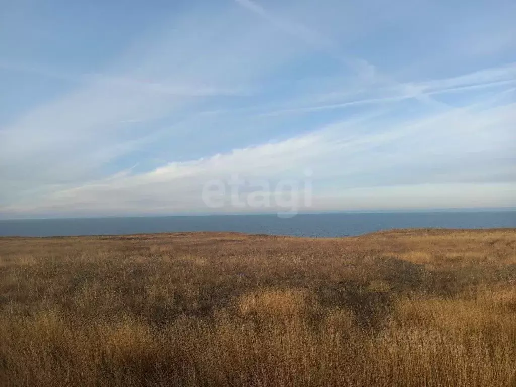 Участок в Крым, Ленинский район, Семисотское с/пос, с. Каменское ул. ... - Фото 1