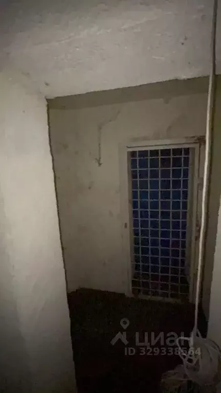 Помещение свободного назначения в Ленинградская область, Выборг бул. ... - Фото 1