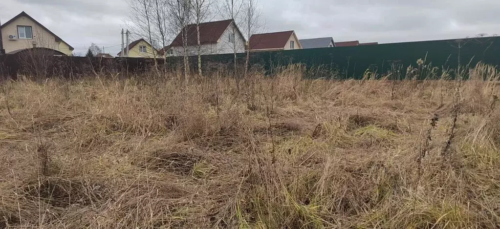 Участок в Московская область, Щелково городской округ, д. Большие ... - Фото 2