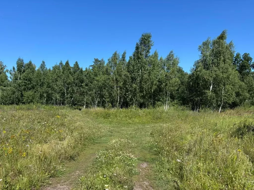 Участок в Ульяновская область, Чердаклинский район, Мирновское с/пос, ... - Фото 1