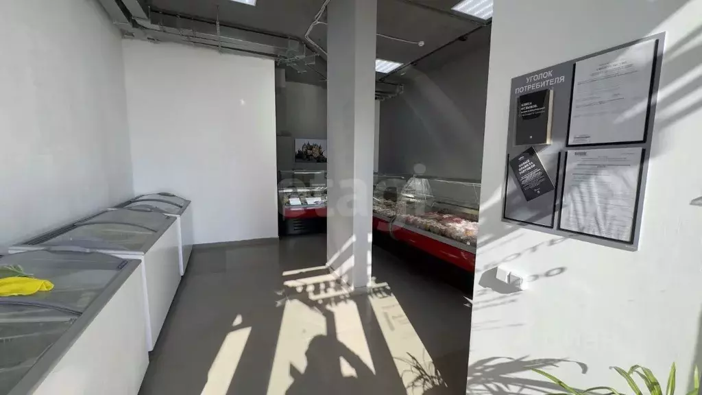 Торговая площадь в Воронежская область, Воронеж ул. Независимости, ... - Фото 1