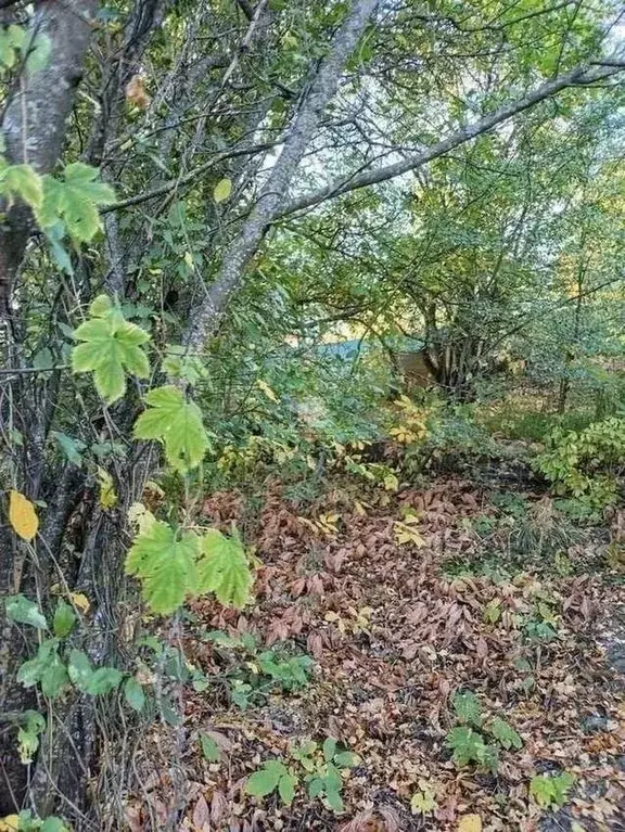 Участок в Белгородская область, Белгородский район, Ериковское с/пос, ... - Фото 2