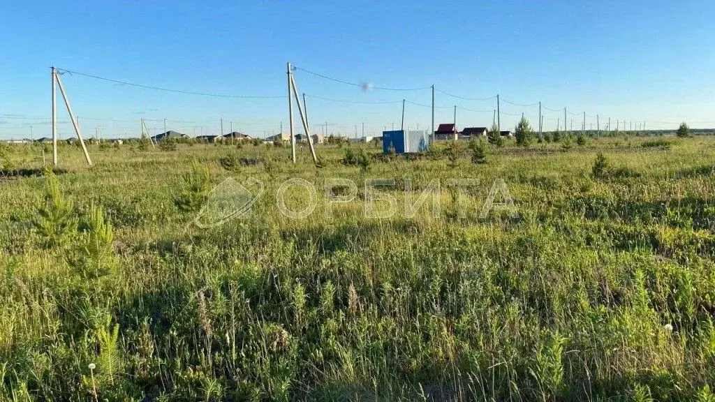 Участок в Тюменская область, Тюменский муниципальный округ, с. Кулига  ... - Фото 2
