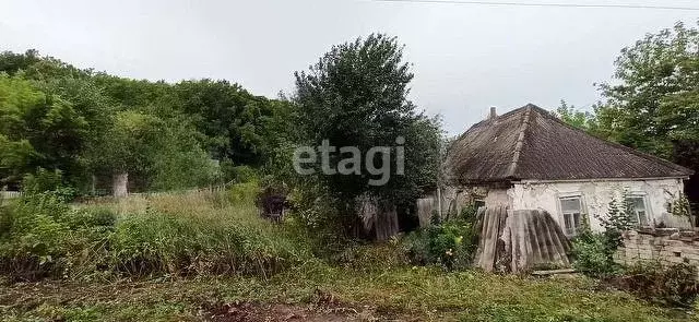 Участок в Белгородская область, Белгородский район, Тавровское с/пос, ... - Фото 0