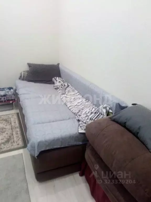 Студия Новосибирская область, Новосибирский район, Каменский ... - Фото 1