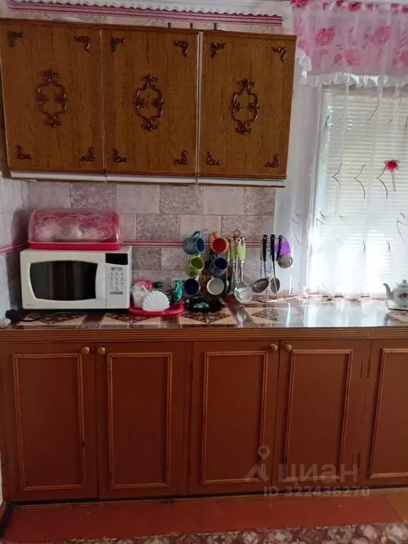 Дом в Брянская область, Жуковский муниципальный округ, Сосновый Бор ... - Фото 2