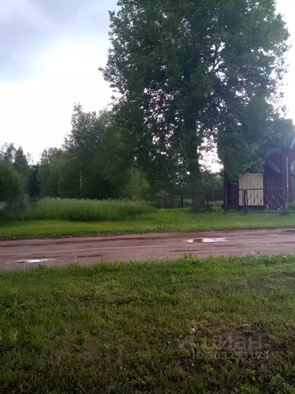 Участок в Новгородская область, Маловишерский район, Бургинское с/пос, ... - Фото 0