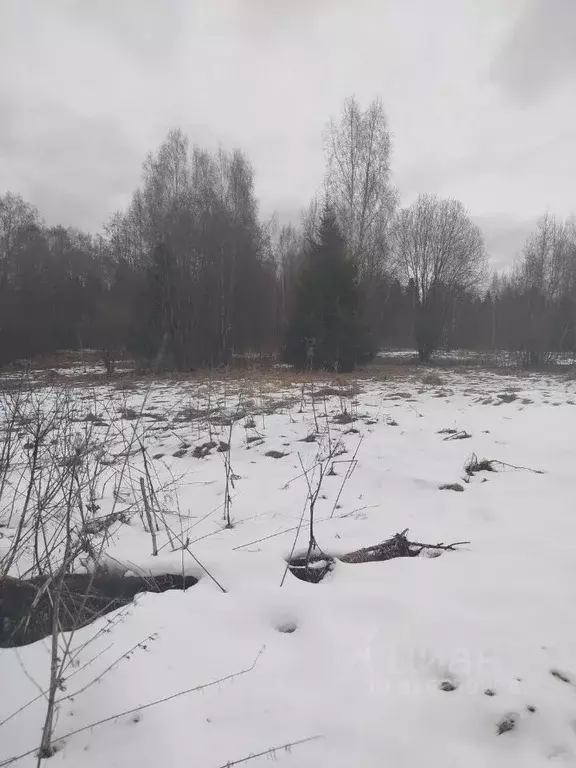 Участок в Московская область, Клин городской округ, д. Поджигородово  ... - Фото 0