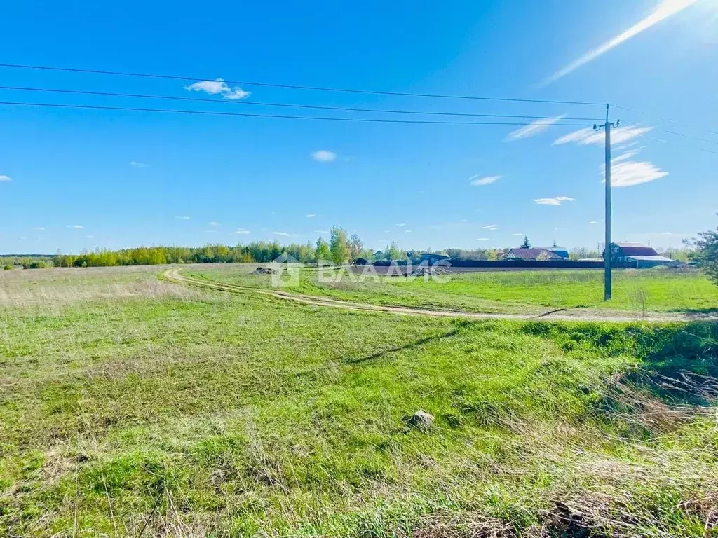 Участок в Владимирская область, Камешковский муниципальный округ, д. ... - Фото 2