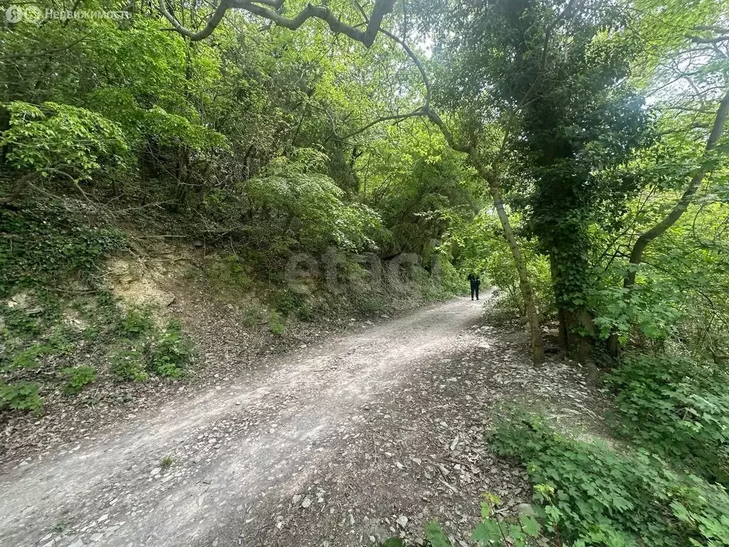 Участок в село Мысхако, Центральная улица (10 м) - Фото 2