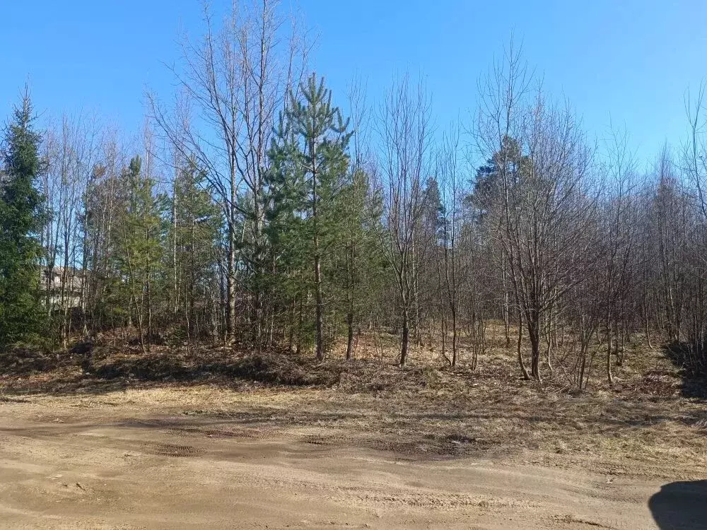 Участок в Ленинградская область, Всеволожский район, Куйвозовское ... - Фото 1