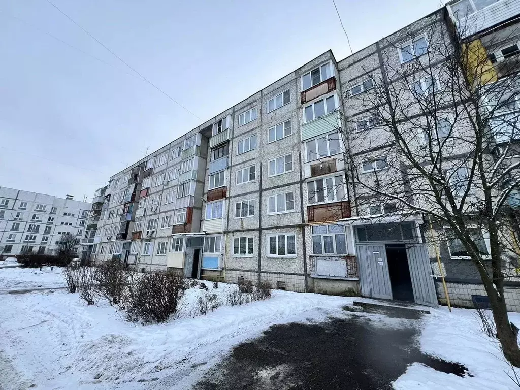 1-к кв. Московская область, Павловский Посад ул. Ново-Мишутинская, 9 ... - Фото 2