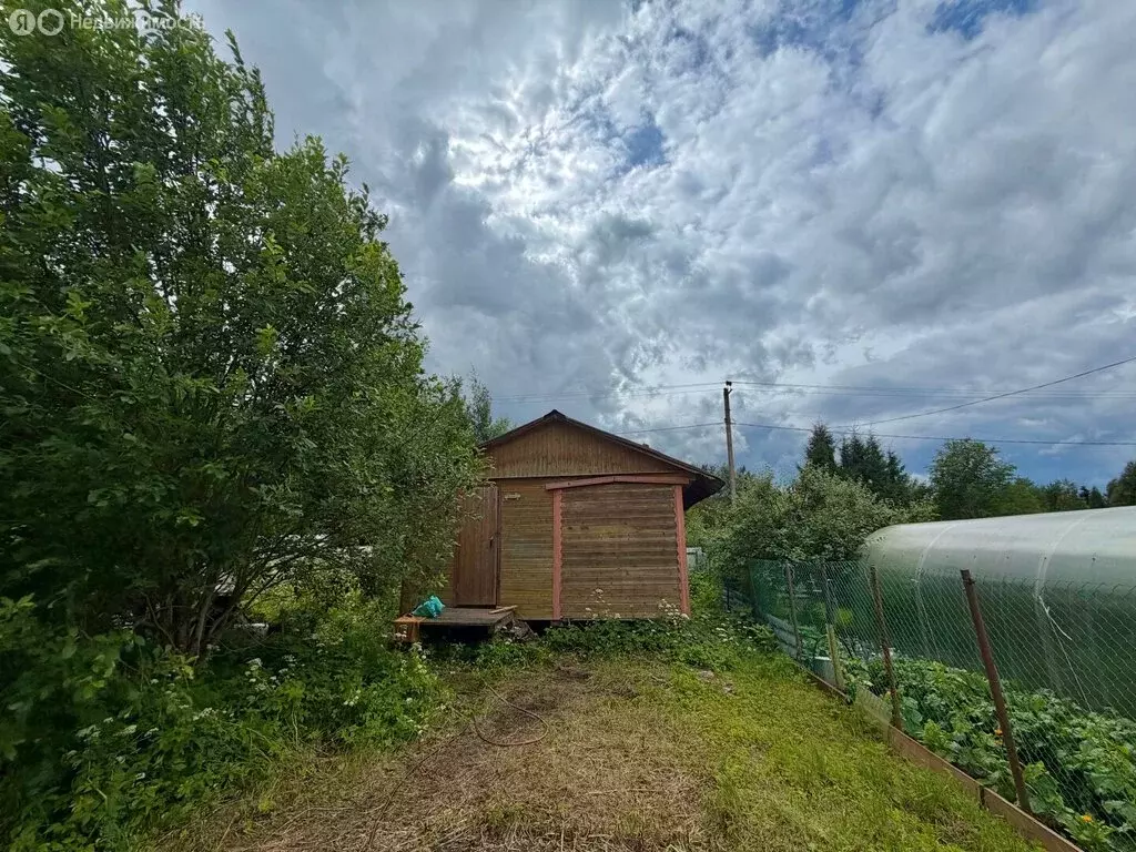 Участок в Выборгский район, Рощинское городское поселение, СНТ Великое ... - Фото 1