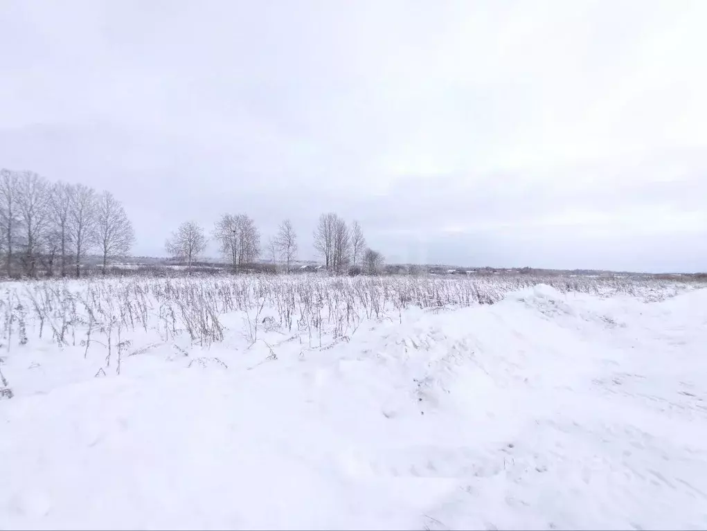 Участок в Ленинградская область, Волховский район, Староладожское ... - Фото 2