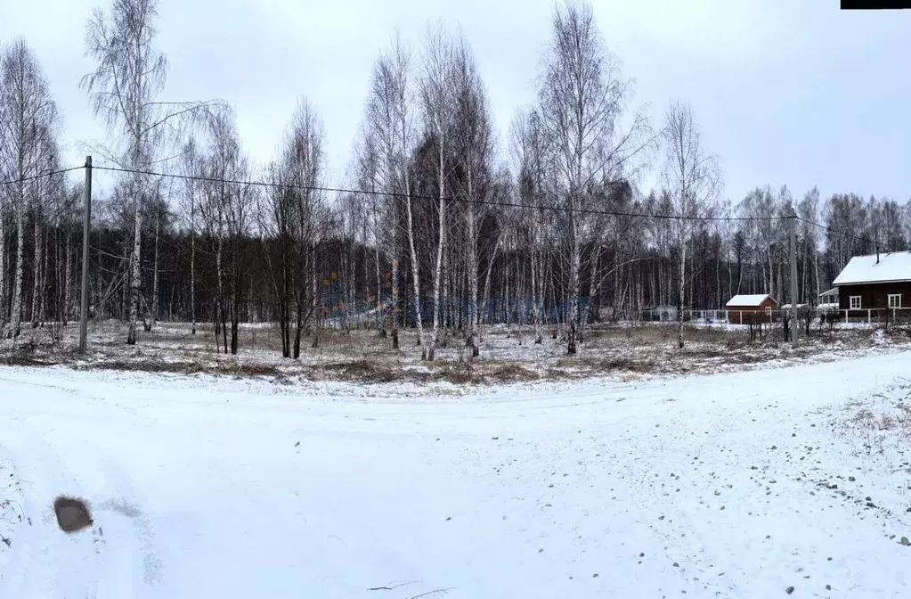 Участок в Нижегородская область, Дальнеконстантиновский муниципальный ... - Фото 2
