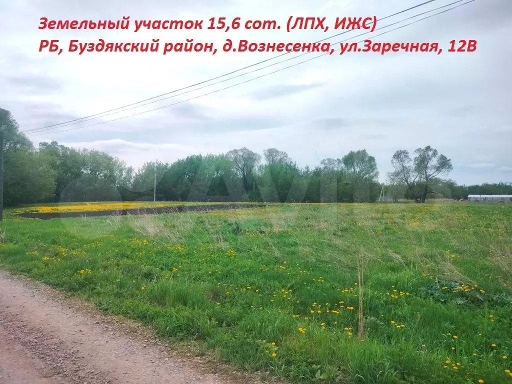 Участок 15,6 сот. (ИЖС) - Фото 0