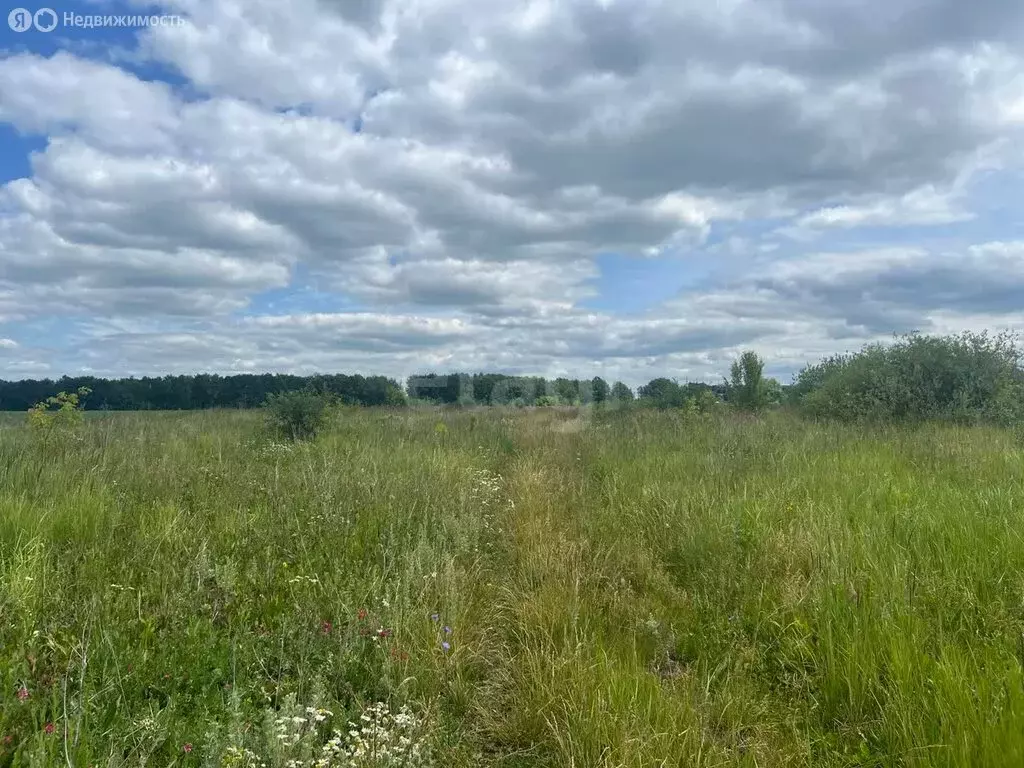 Участок в Лямбирский район, село Берсеневка (6.9 м) - Фото 1