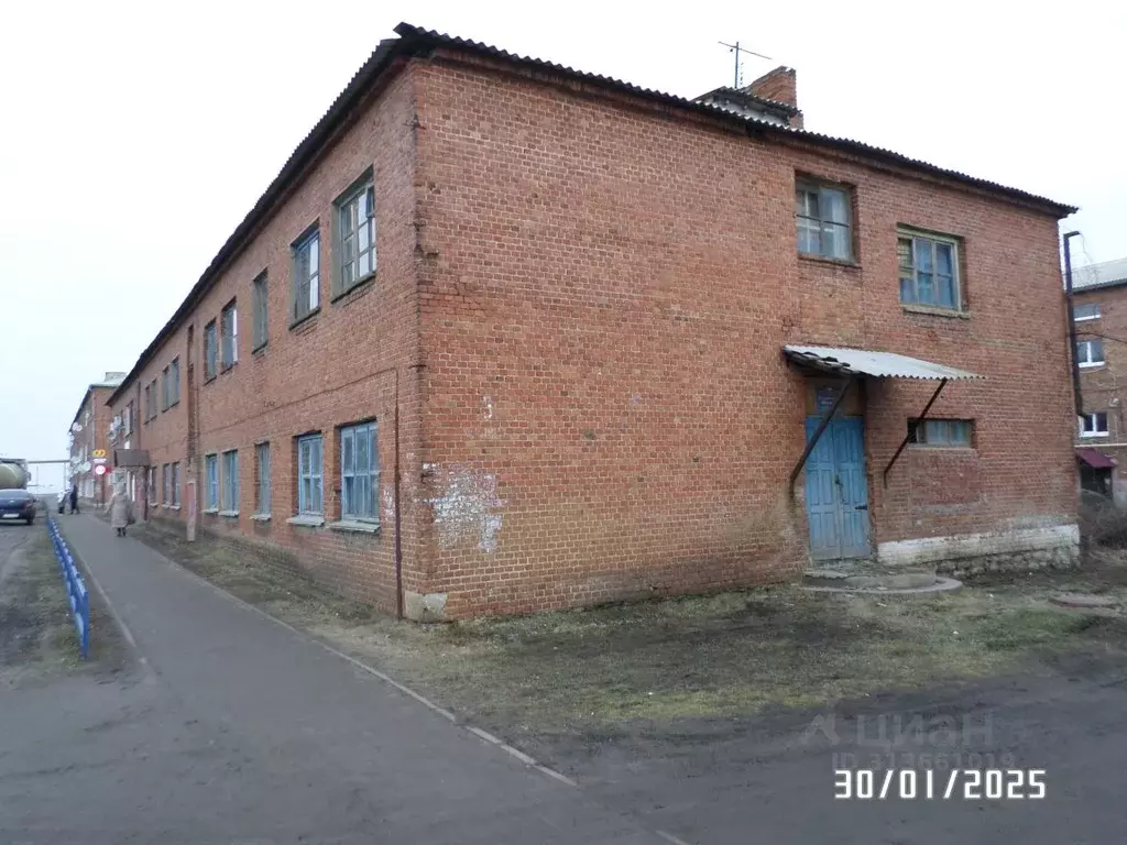 Помещение свободного назначения в Воронежская область, Каменка пгт ул. ... - Фото 0