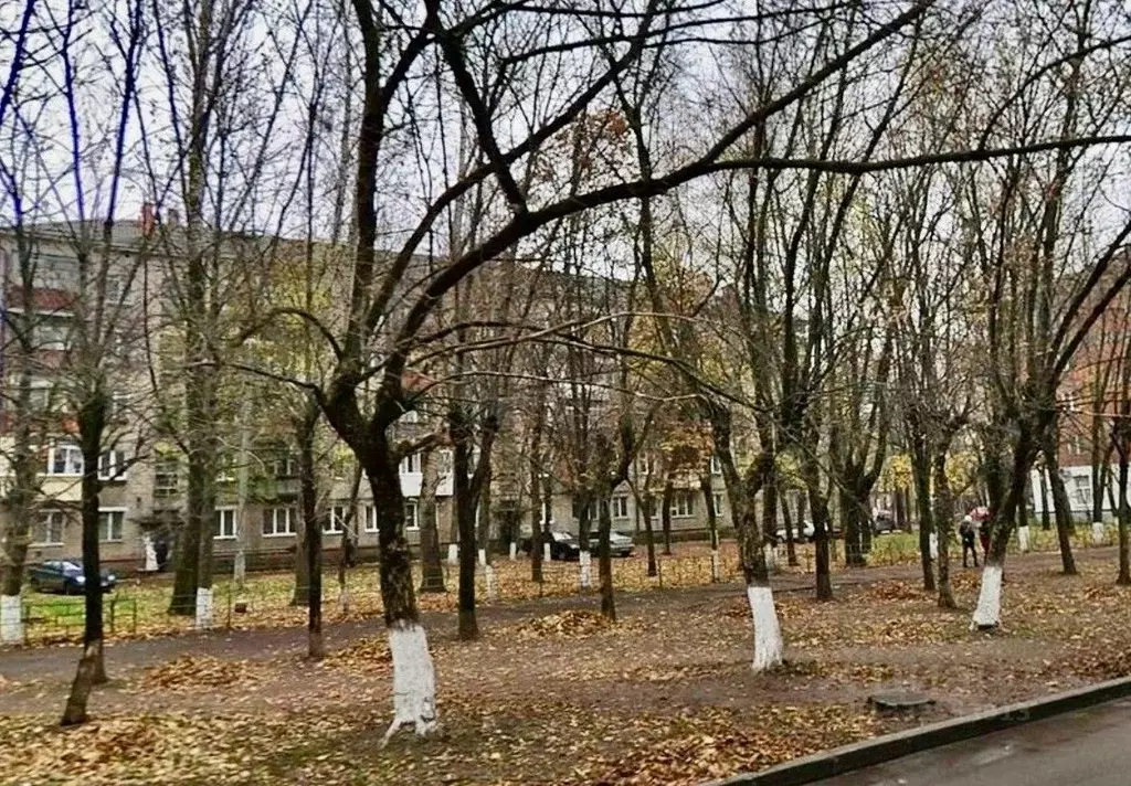 3-к кв. Тульская область, Тула Оружейная ул., 31 (55.6 м) - Фото 1