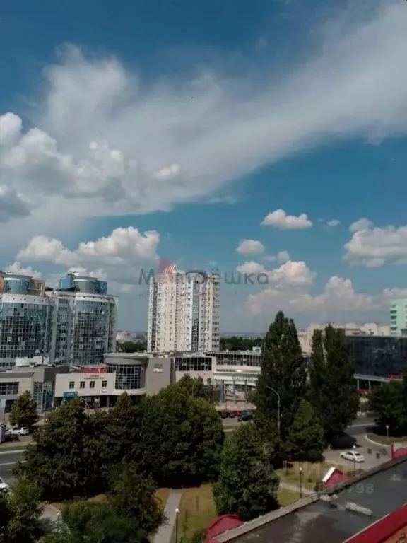 2-к кв. Белгородская область, Белгород ул. Костюкова, 41 (48.3 м) - Фото 1
