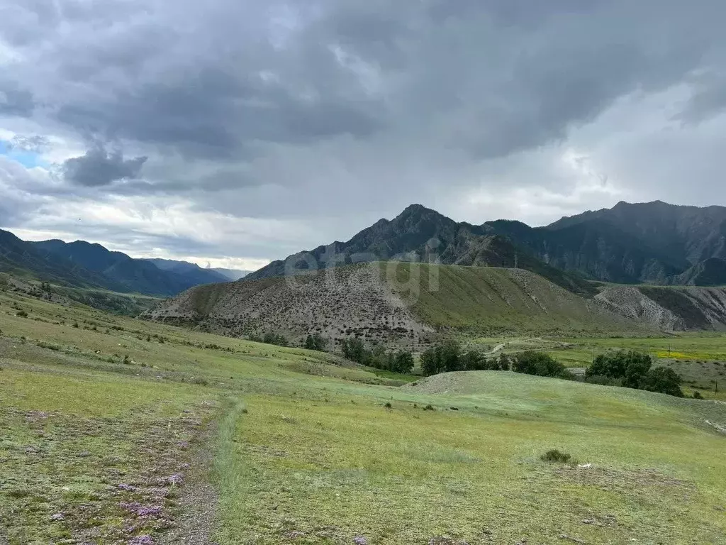 Участок в Алтай, Онгудайский район, с. Малый Яломан  (73.0 сот.) - Фото 1