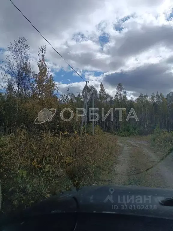 Участок в Тюменская область, Нижнетавдинский район, Сундукульский ... - Фото 0