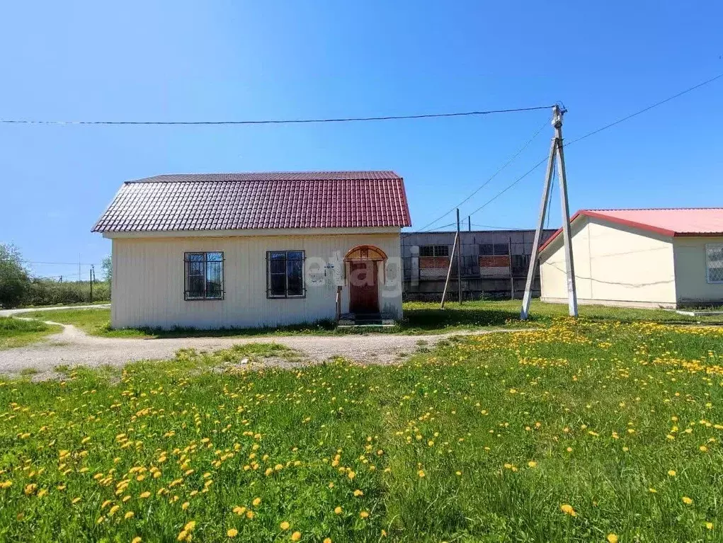 Торговая площадь в Новгородская область, пос. Батецкий ул. Лужская, 30 ... - Фото 0