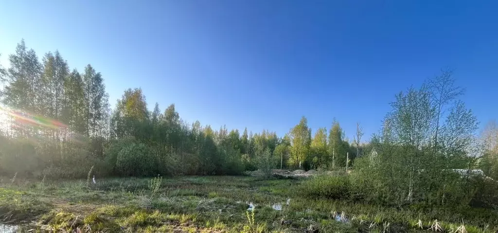 Участок в Вологодская область, Череповец ул. Никольская (8.0 сот.) - Фото 1