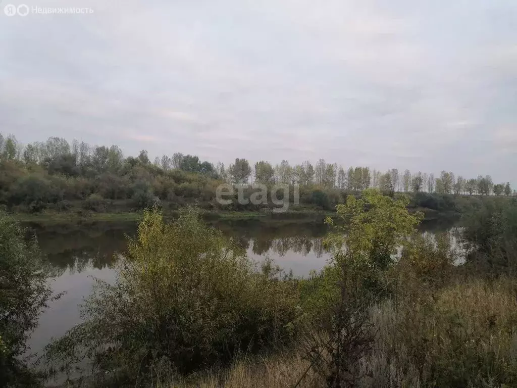 1 010 000 Руб., Участок в село Семилуки, Подгорная улица (10 м), Купить  земельный участок в Семилуках, ID объекта - 20007304426