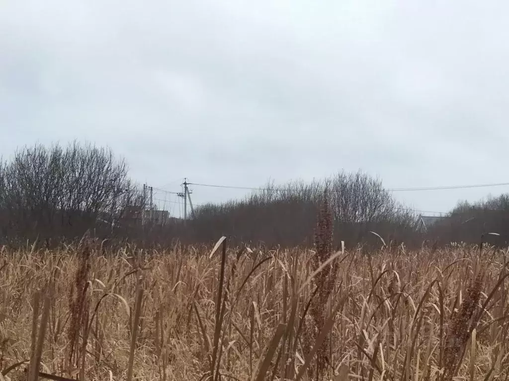 Участок в Московская область, Раменский муниципальный округ, д. ... - Фото 1