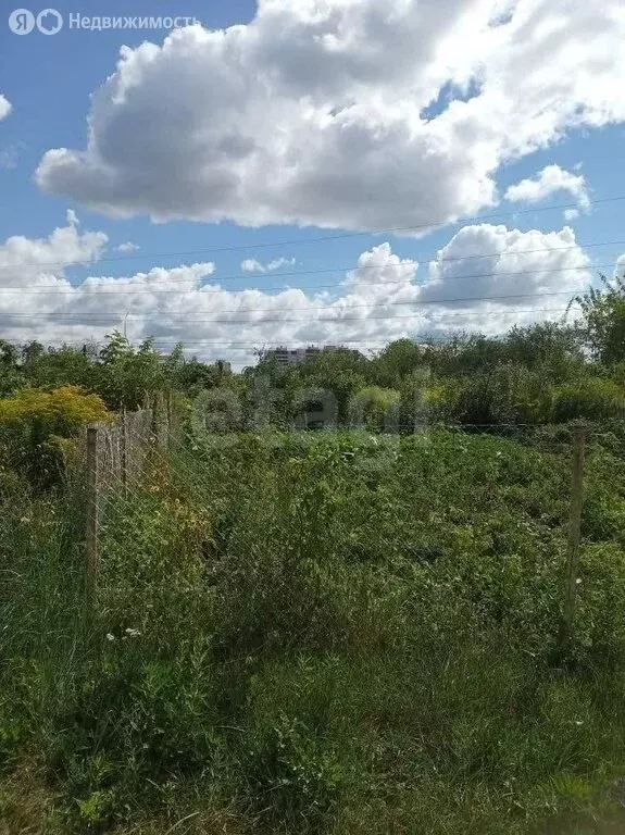 Участок в Саранск, СНТ 50 лет Октября (5.2 м) - Фото 2